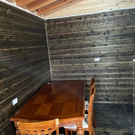 Ohel Plazhi San Pietro