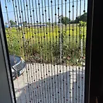 Ohel