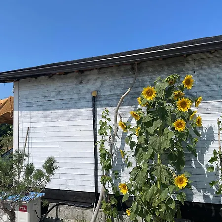Ohel Dağ evi Plazhi San Pietro